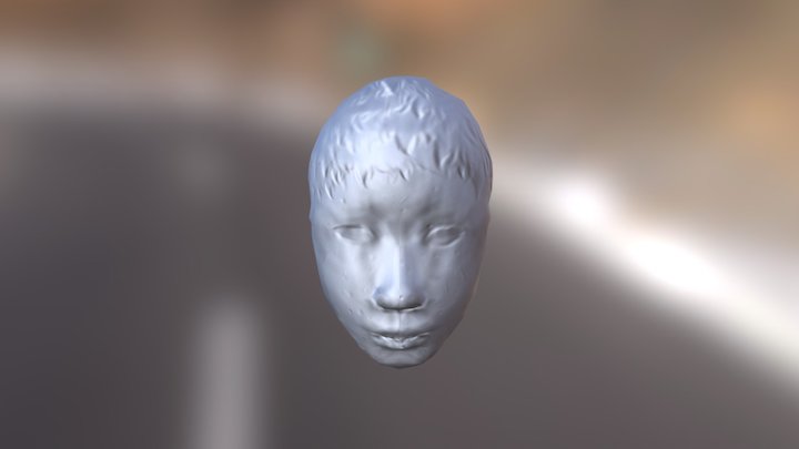 14150600116吕佳霓 3D Model