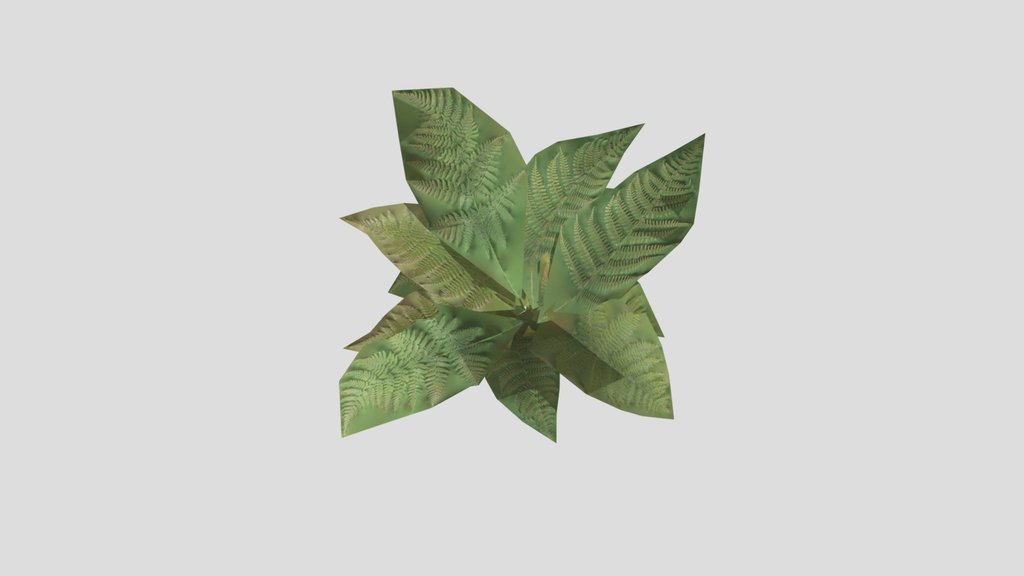 Bush_Wild_Fern_c1_1dc346af-84ea-425c-9020-4684e4