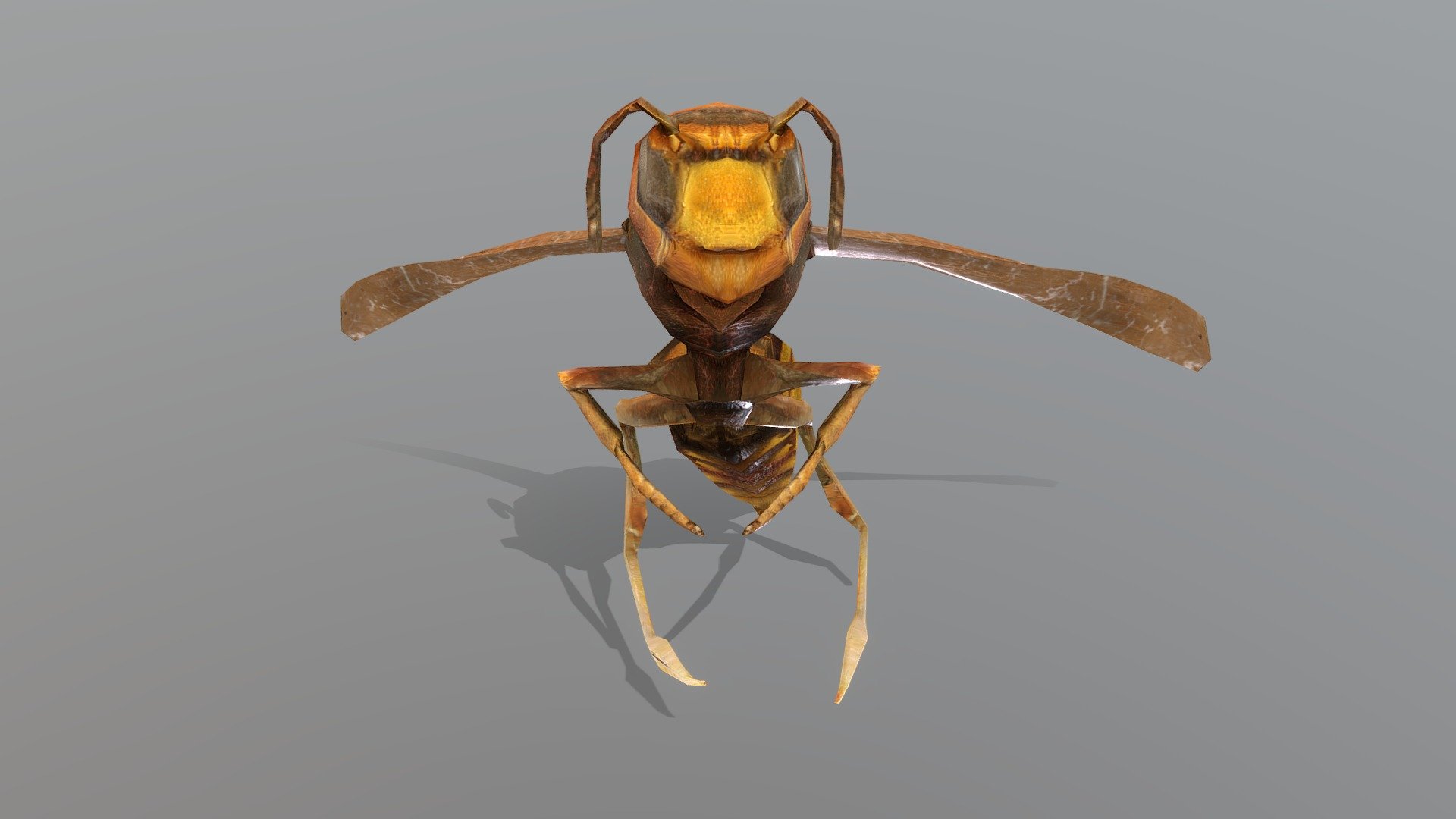 Rigged Hornet LP