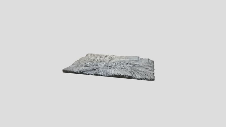 Untitled Scan 3D Model