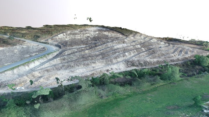 Plantação Eucaliptos - Eiriz, Paços de Ferreira 3D Model