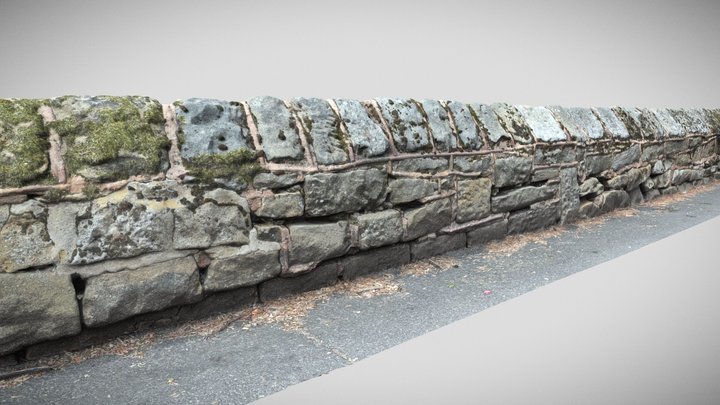 a moss covered stone fence scan 1