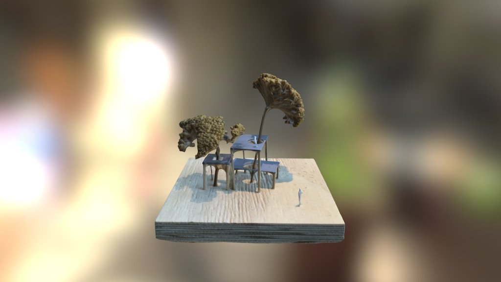 Week1_treehouse_liekemooc