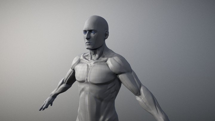 Écorché_01 3D Model