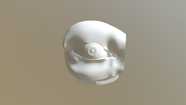 Ojos 3D Model