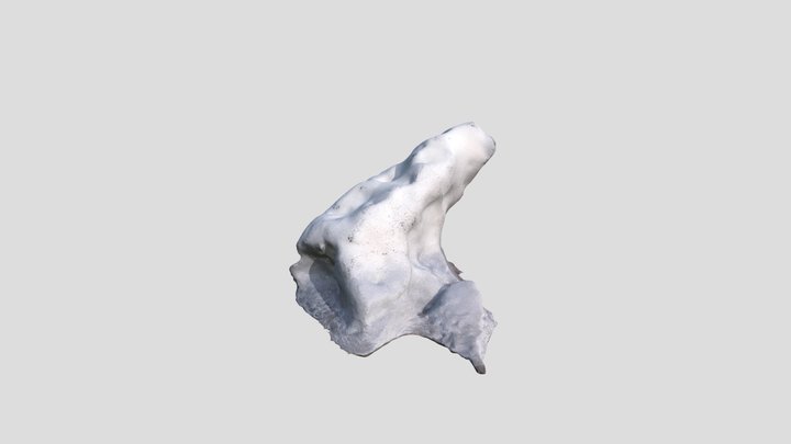 Snow March19 Test 3D Model