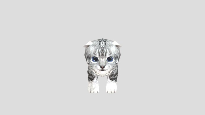 Cute Cat with ears folded (Cat Simulator 2015) 3D Model
