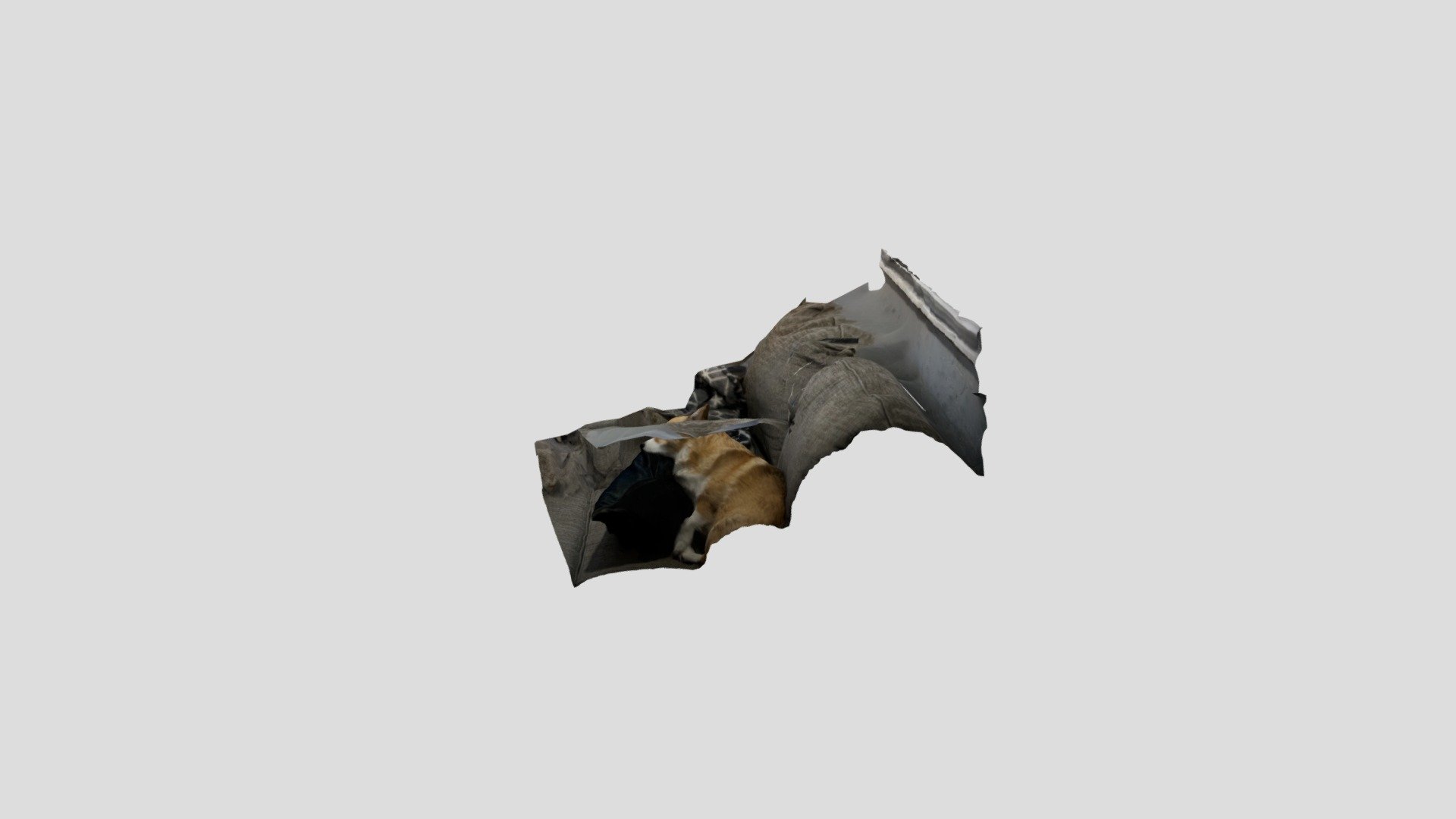 Polycam capture