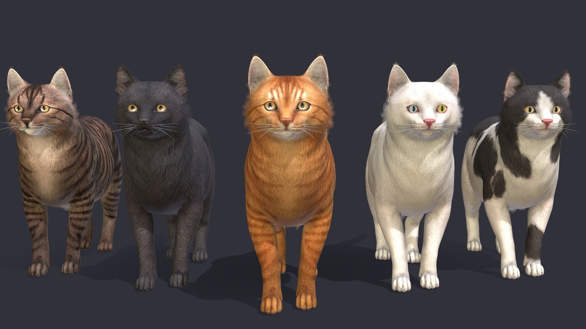 Fat Cats 3D model by RedDeer (billl90) [dd26e7c] Sketchfab
