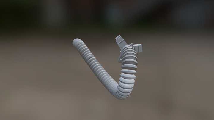 Tail 3D Model