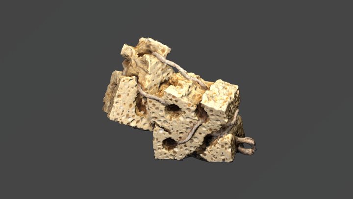 EPONGE 3D Model