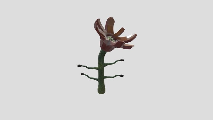 The Ovomorph 3D Model