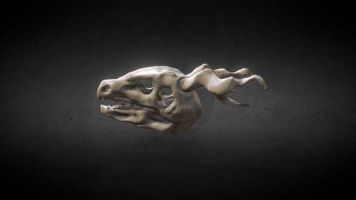 Dragon Head 3D Model