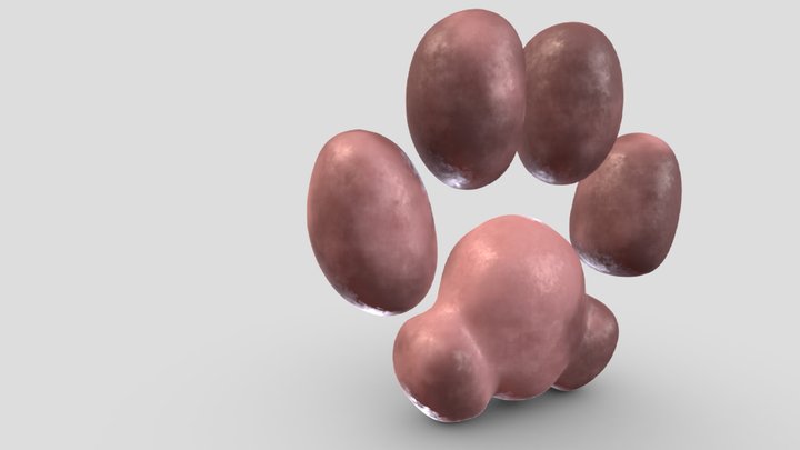 (Domestic) Cat Pawpads 3D Model