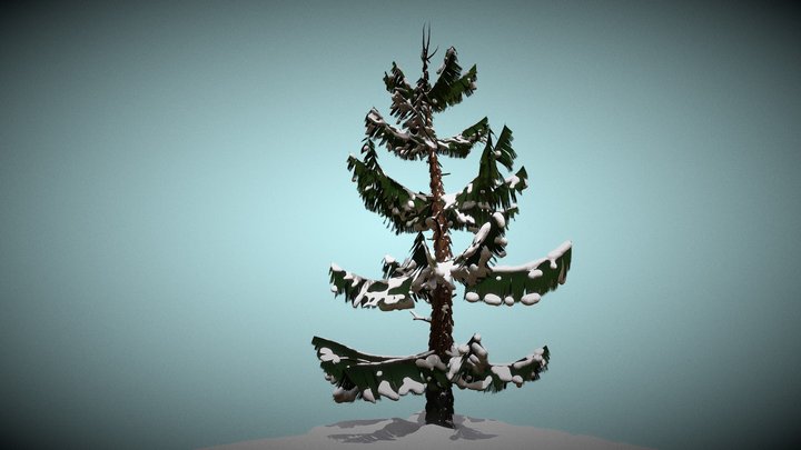 stylized pine 3D Model