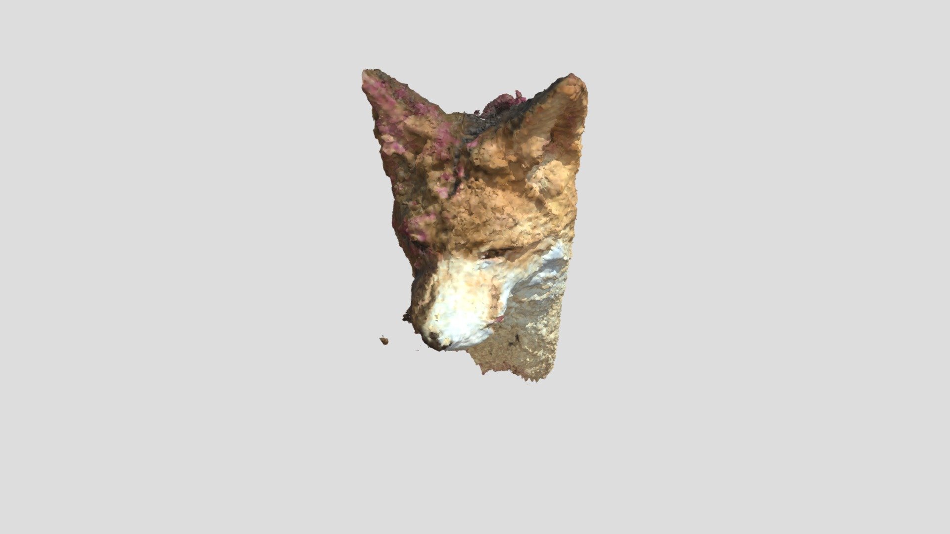 Fox - 3D model by victorsim [dd362b9] - Sketchfab