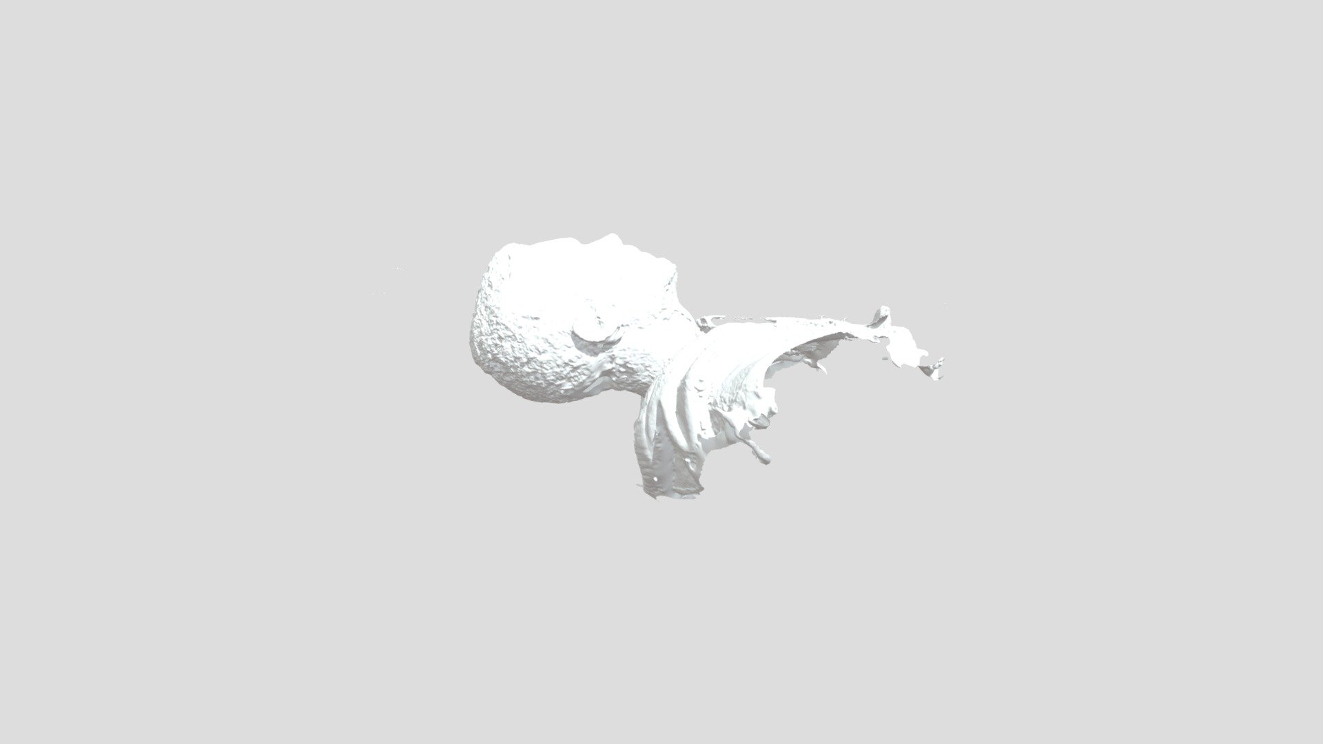 Test Meshmixer