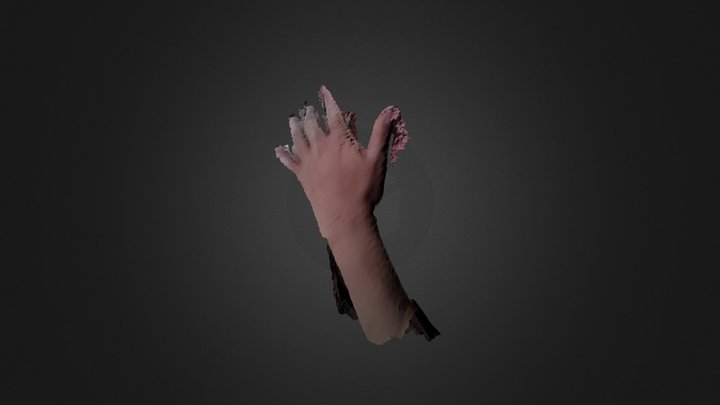 quick hand scan 3D Model