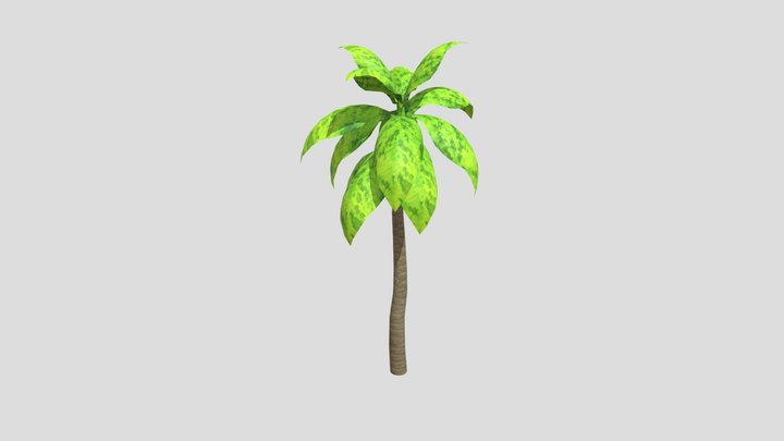 palm tree 3D Model