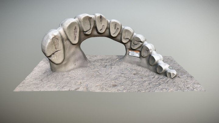 Dino spine toy - park Antropos – Modello 3D gratuito STL