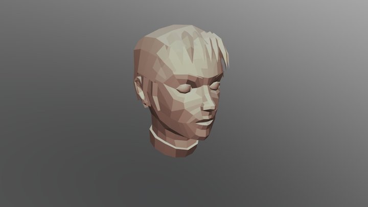 Polygonal Girl Head Test 3D Model