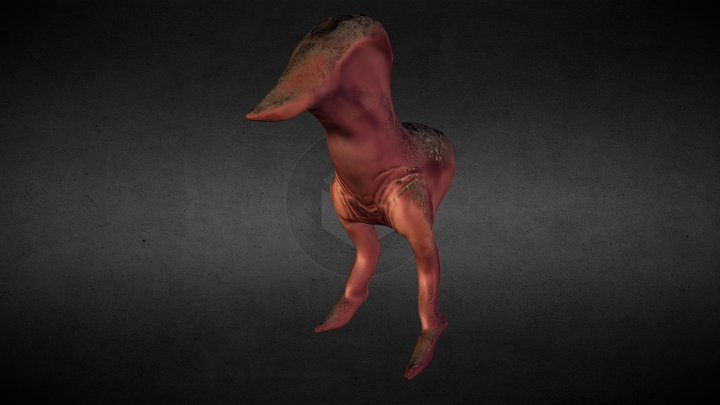 TEKU-TEKU 3D Model