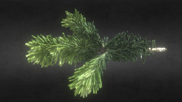 Branche 3D Model