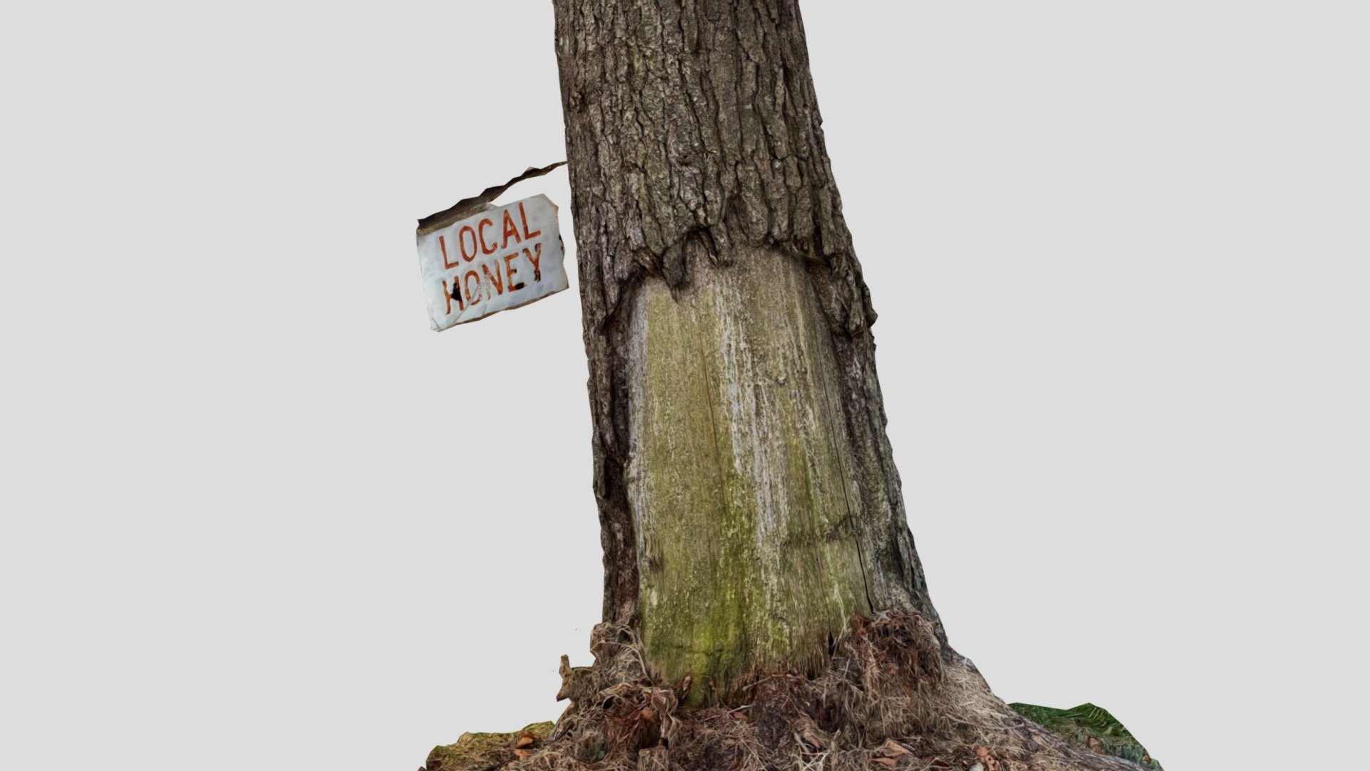 Day 120: Local Honey Sign