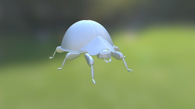 Insecto 3D Model
