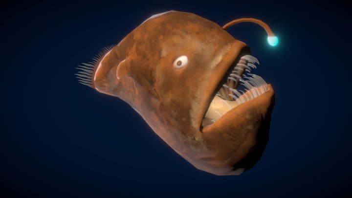 Anglerfish 3D Model