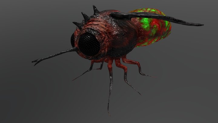 Radioactive fly 3D Model