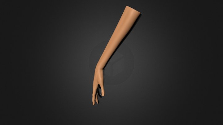 Textured Arm and Hand Drawing Reference Pose 02 3D Model