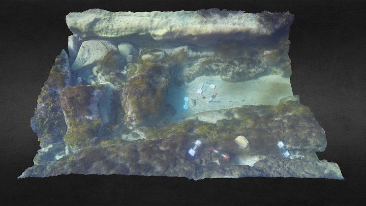 Temperate Reef Patch (tag SY-LO_14a) 3D Model