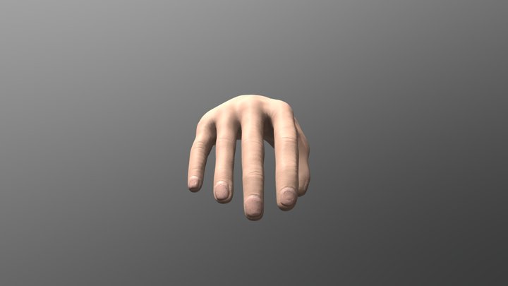 Z-brush Hand Model Study 3D Model