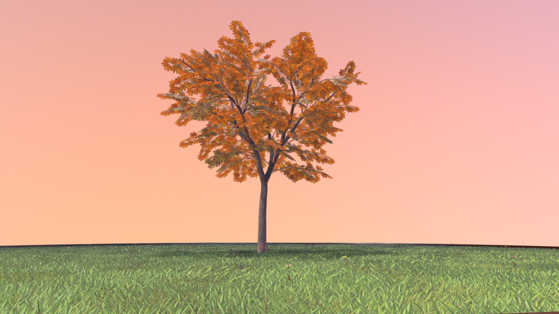 3D model Kastanie 8 Meter – Herbst - This is a 3D model of the Kastanie 8 Meter - Herbst. The 3D model is about a tree in a field.