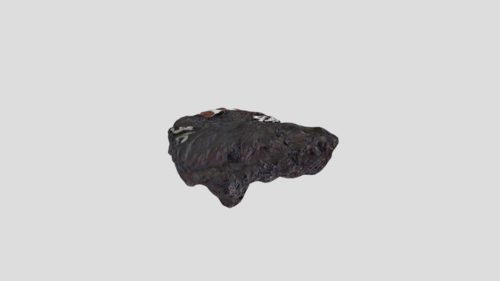 Basalt lava (Pahoehoe) 3D Model