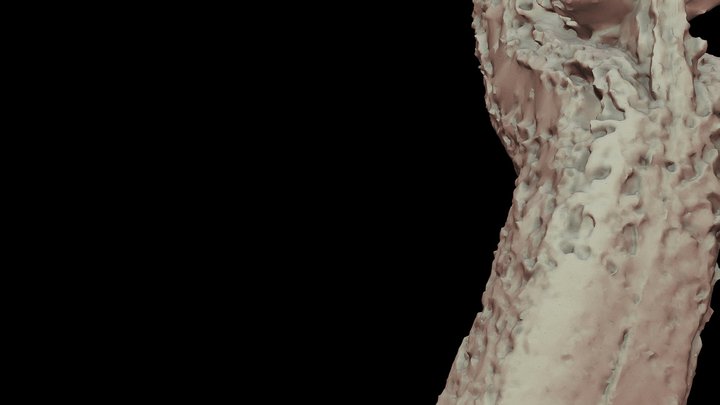shareModel 3D Model
