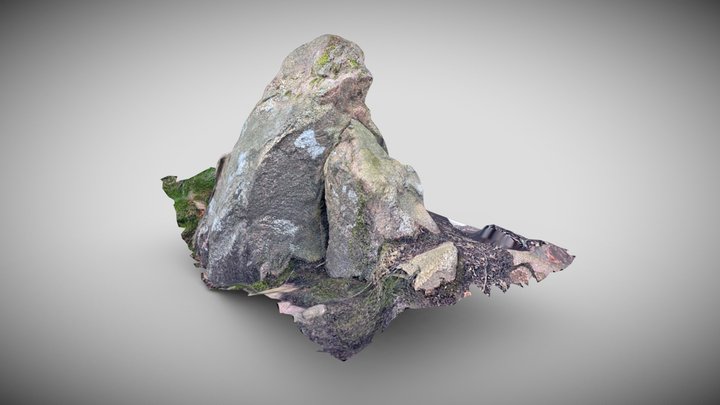 3D scanned rocks 3D Model