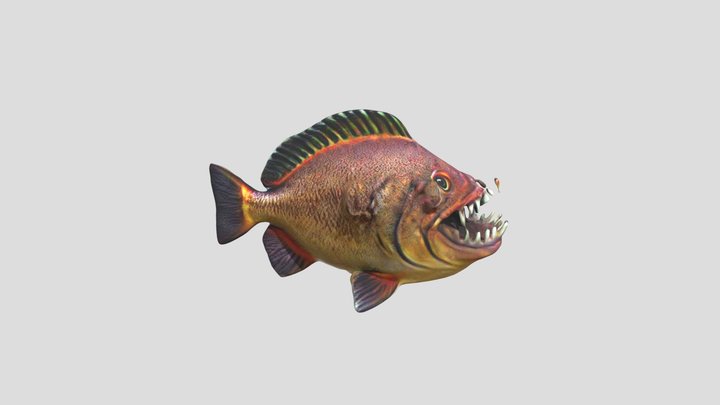 Jungle Piranha With Spiked Teeth (2) 3D Model