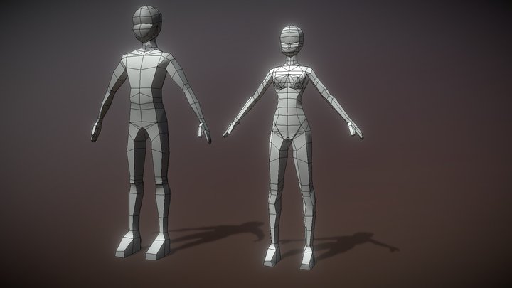 Male and female Body Template 3D Model
