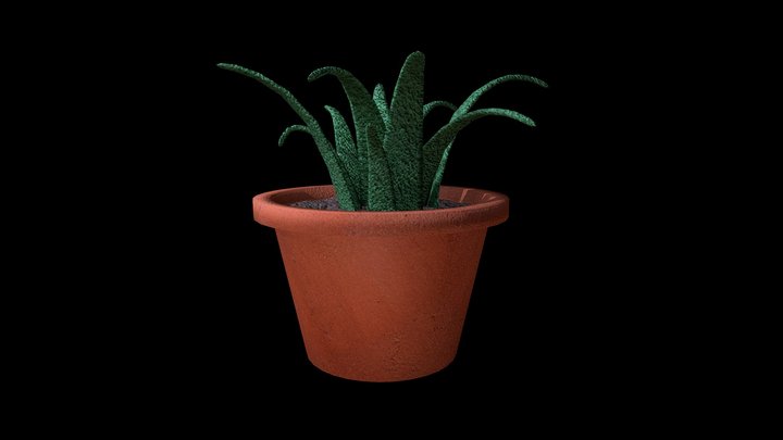 Decorative plant pot 3D Model