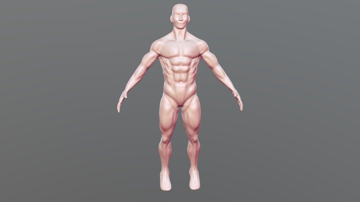 Muscular Stonks Guy – Modelo 3D gratuito STL