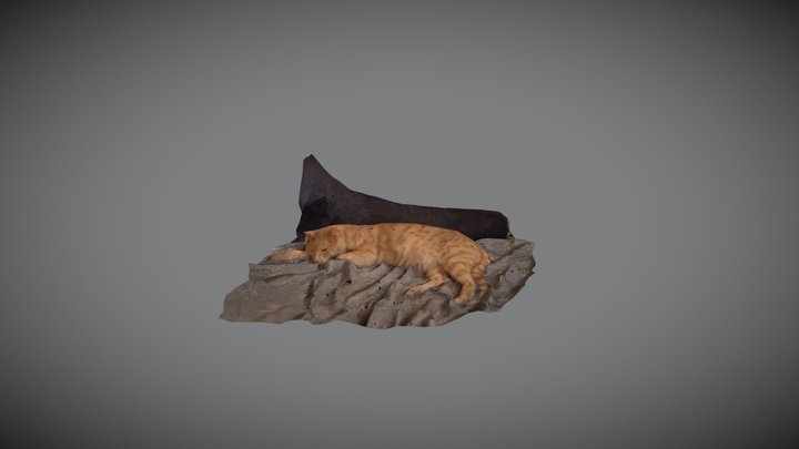 My Cat 3D Model