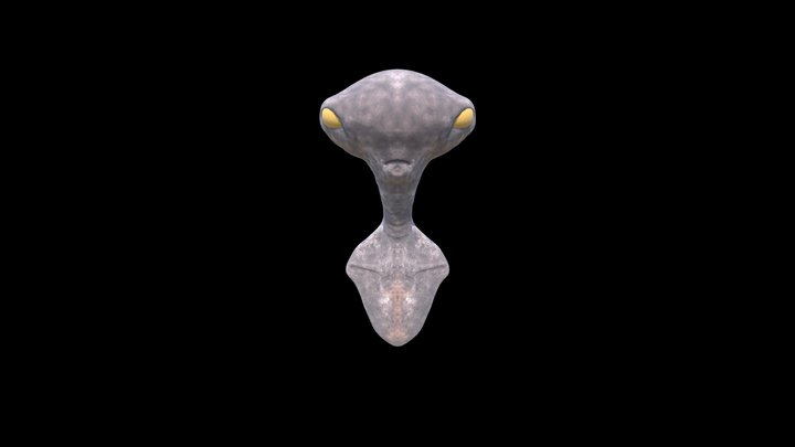My Sketchfab Mesh 3D Model