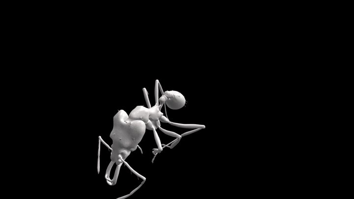 TEST 01 3D Model