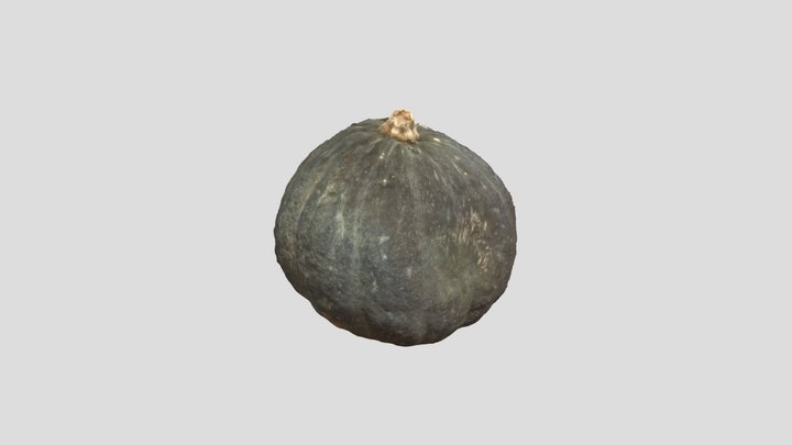 Kabocha Squash 3D Model