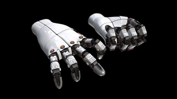 Robotic Hands 3D Model
