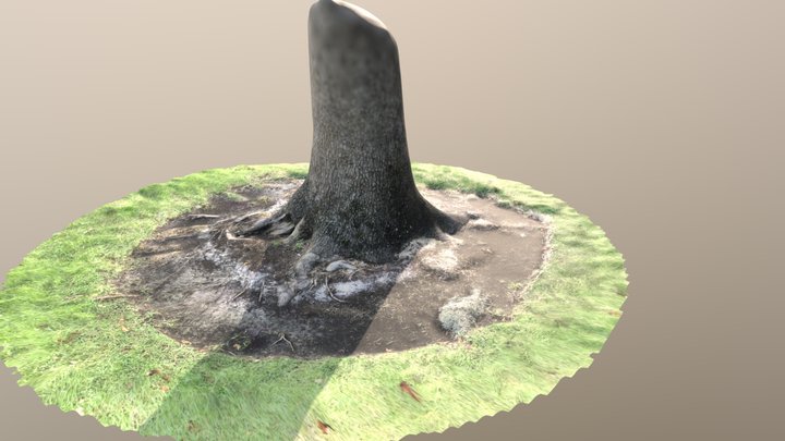 rivertown-oak-tree-baseline-scan-summer-2018 3D Model