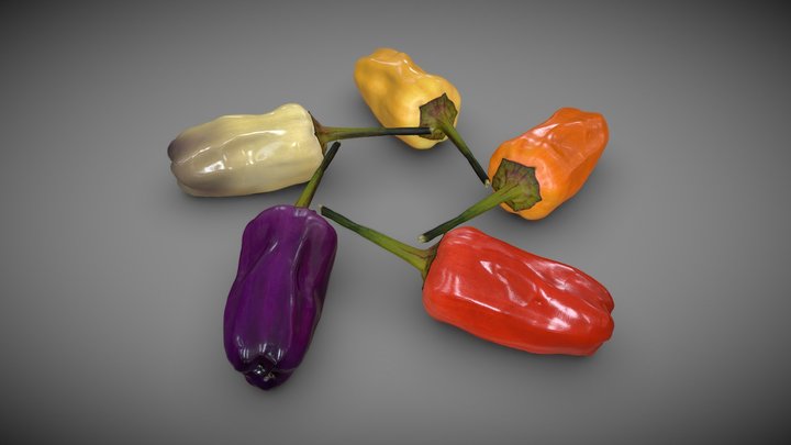 Chinese Five Colors pepper 3D Model