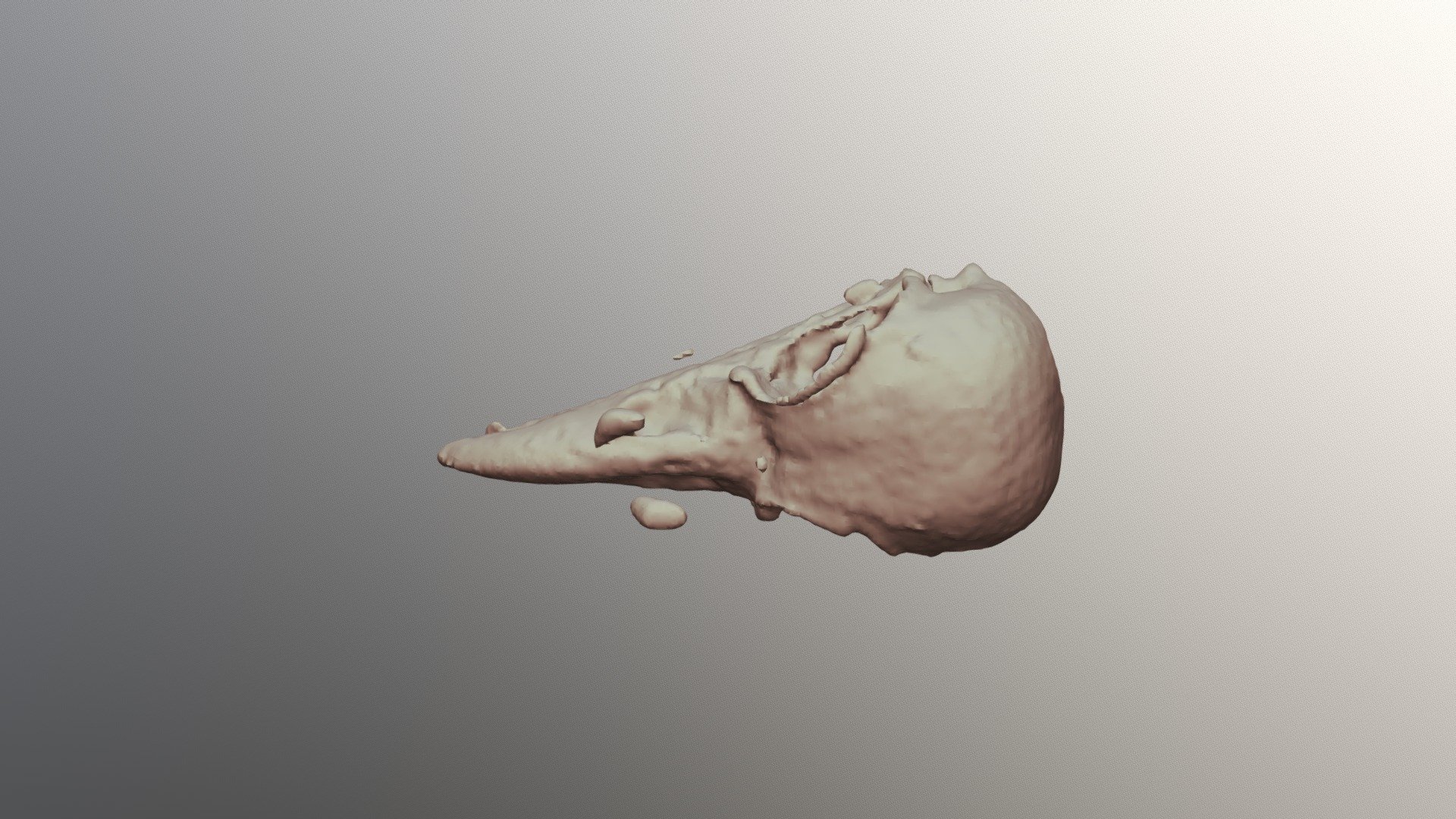 6E-Raven Skull-BC8130
